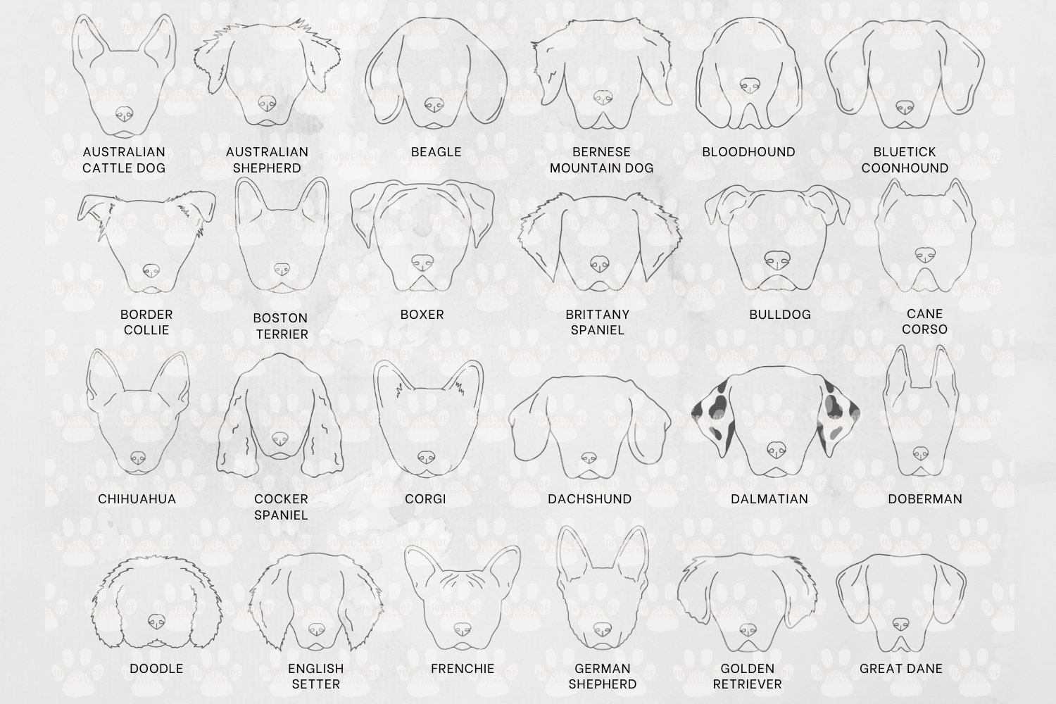 Dog Face Outline SVG Bundle - 48 Breeds view 2