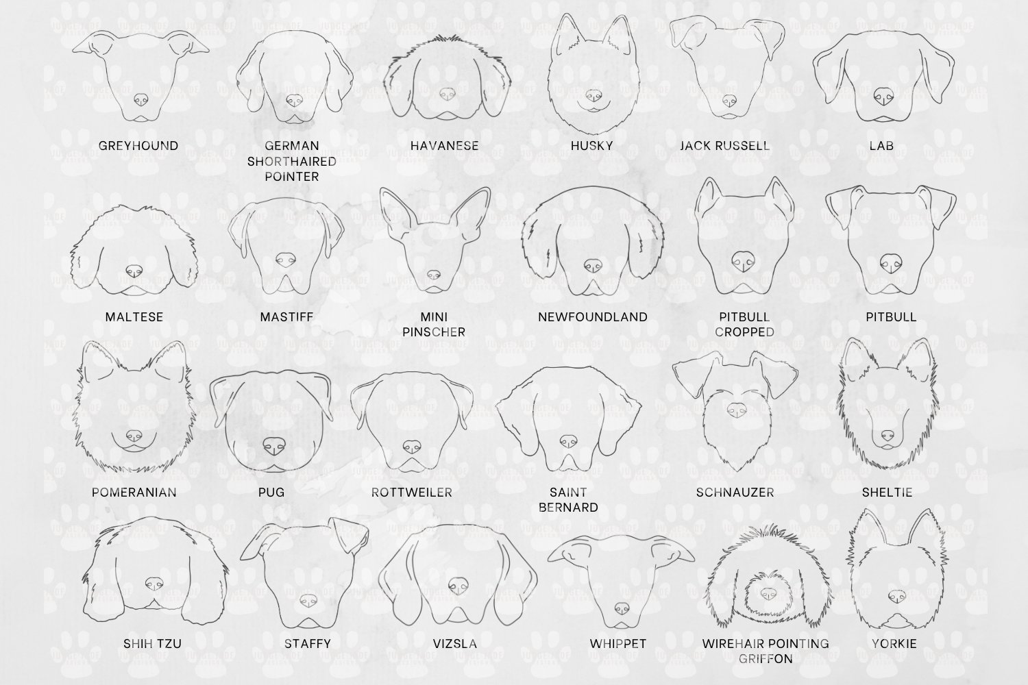 Dog Face Outline SVG Bundle - 48 Breeds view 3