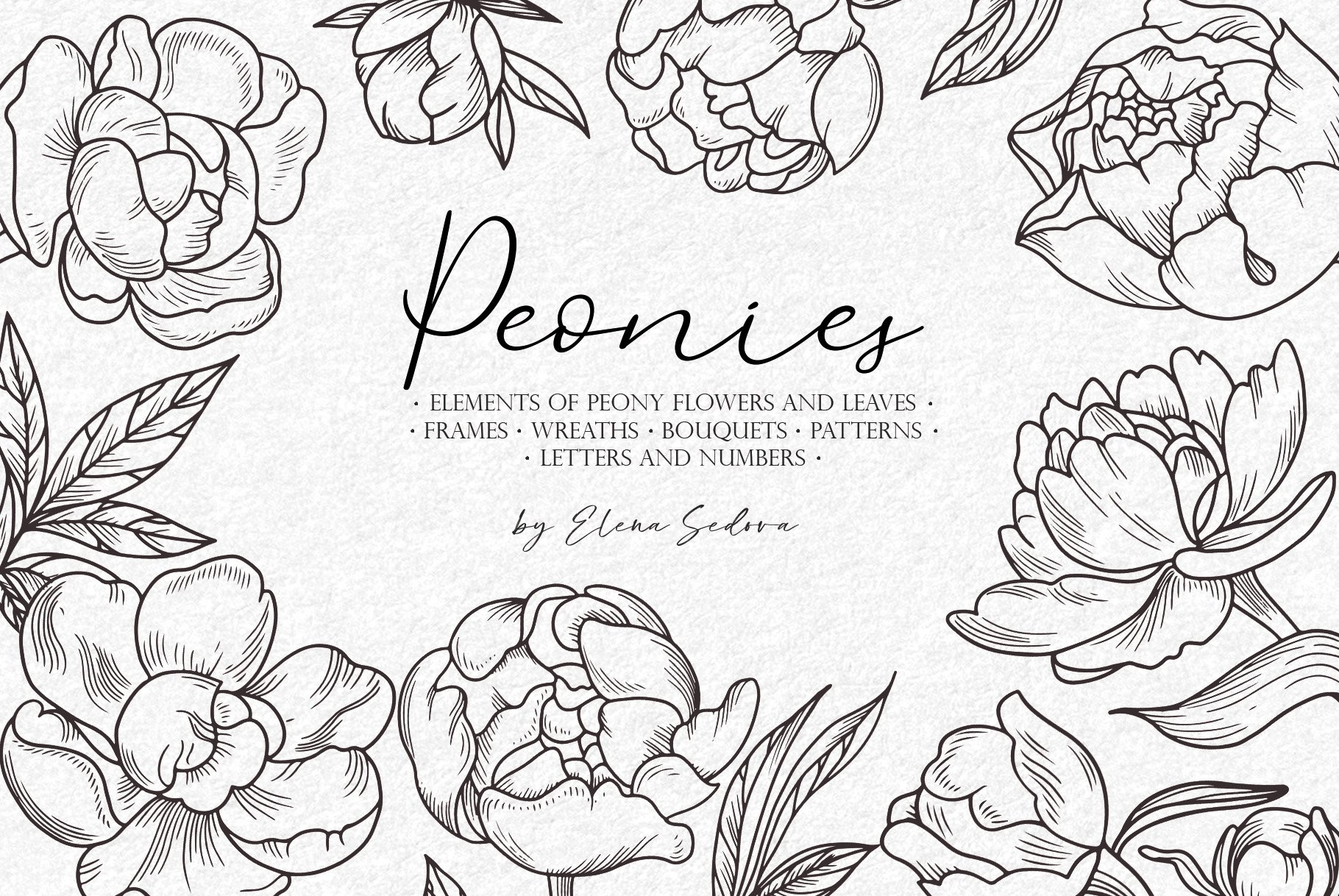 Peony Svg files for cricut. Flower line art