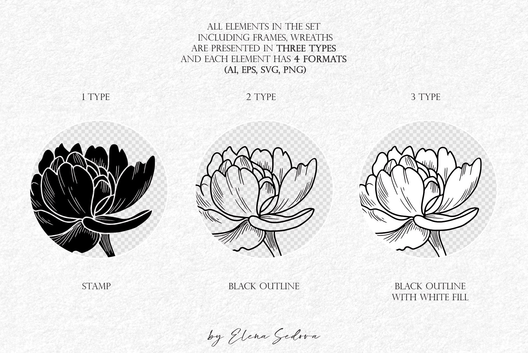 Peony Svg files for cricut. Flower line art view 3