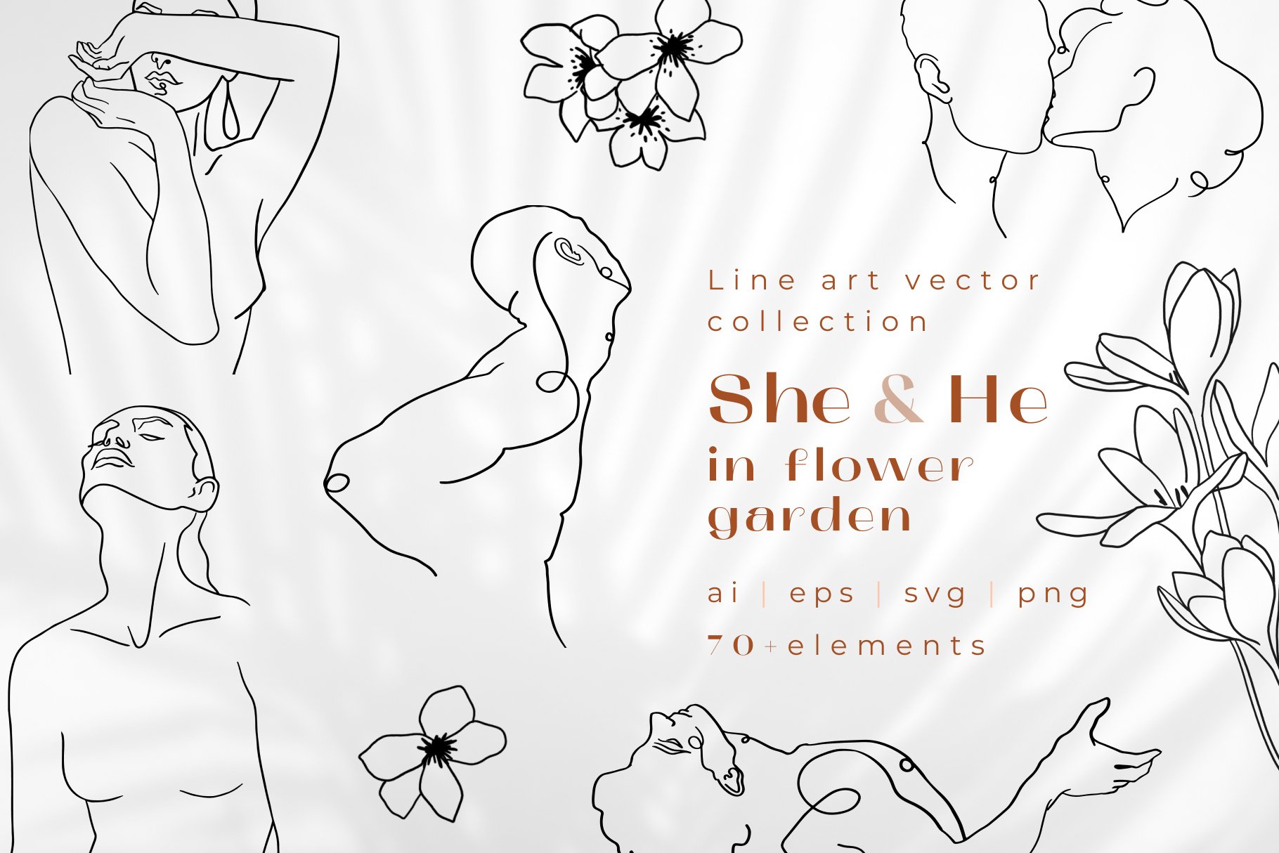 Line Art Vector Collection