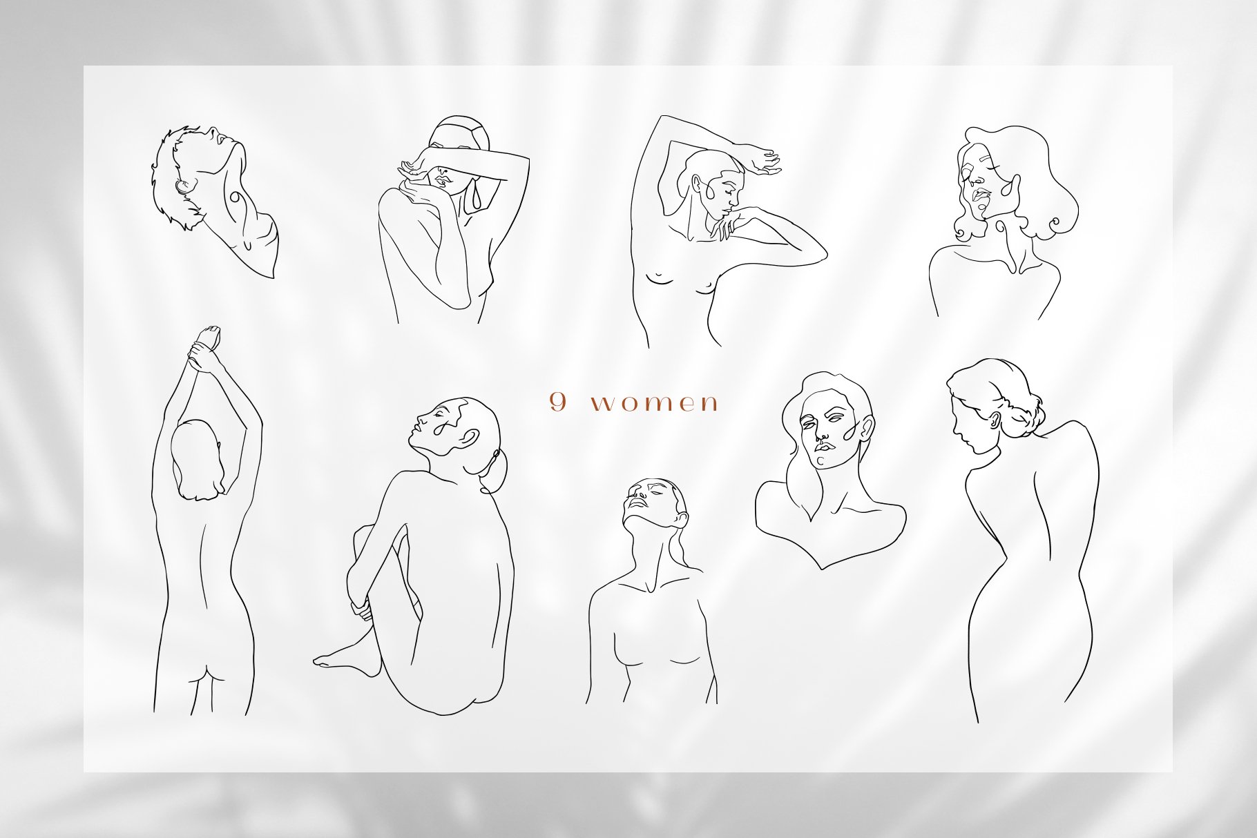 Line Art Vector Collection view 2