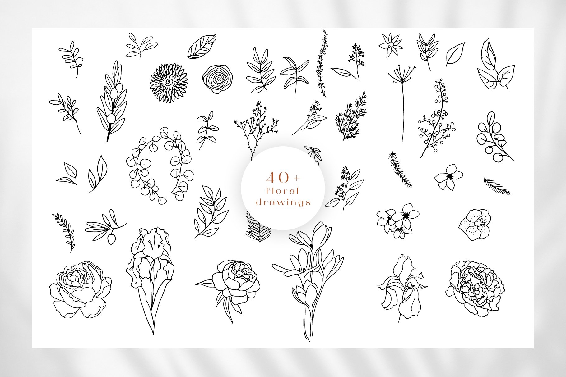 Line Art Vector Collection view 3
