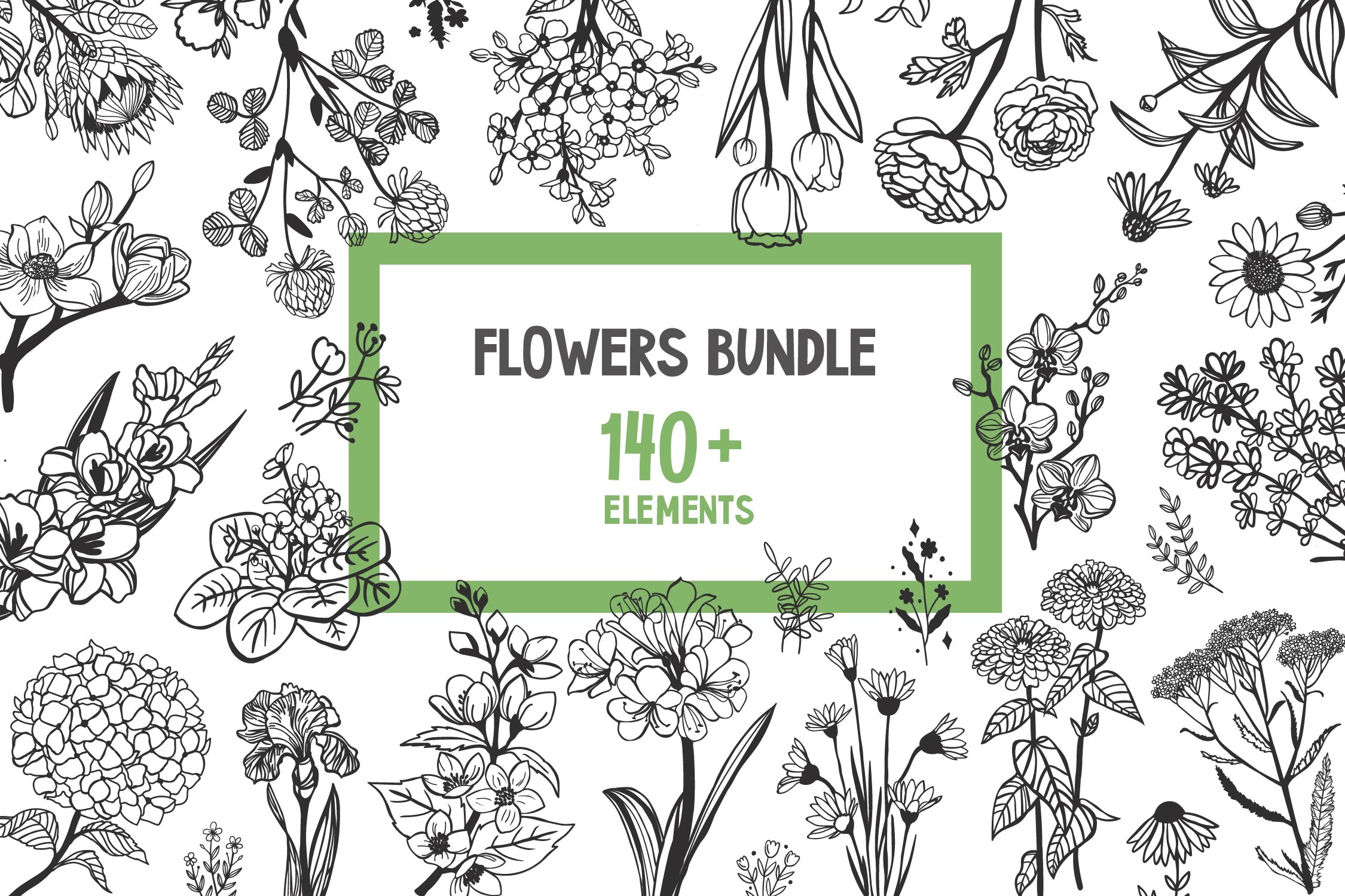 flowers bundle/ big set bundle wildflowers